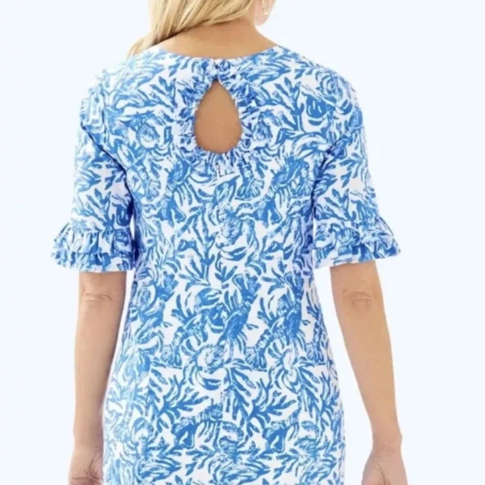 Lilly Pulitzer Blue Fiesta Stretch Dress - Picture 6 of 11